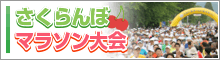 さくらんぼマラソン大会