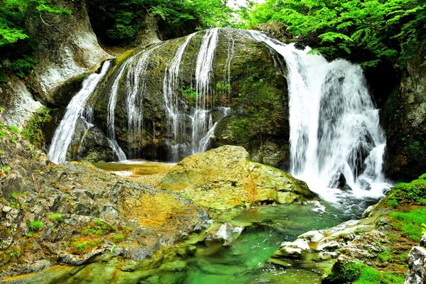 新緑の関山大滝３