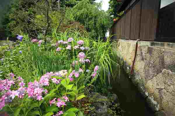 水路のある風景に癒されて