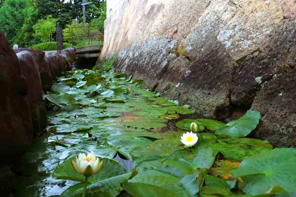水路のある風景に癒されて
