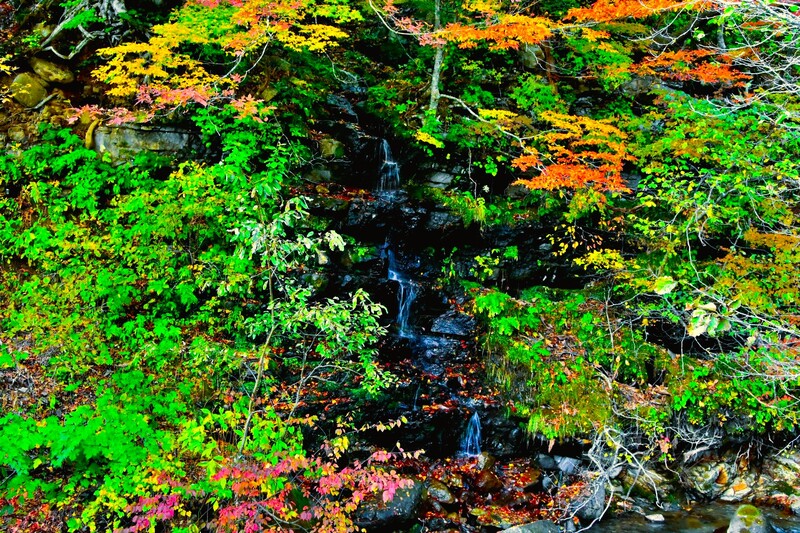村山野川上流と黒伏山