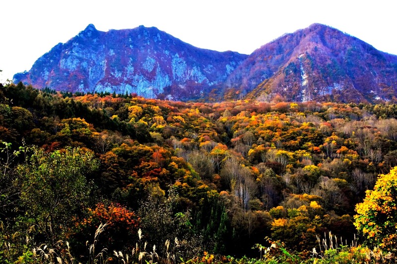 村山野川上流と黒伏山
