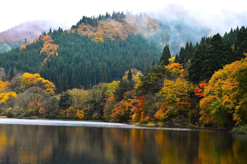 紅葉始まる沼沢沼