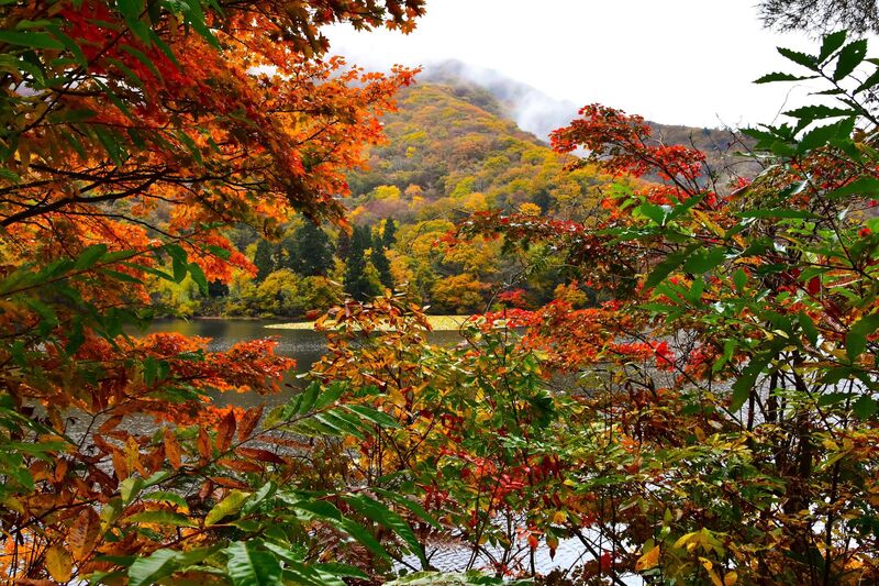 紅葉始まる沼沢沼