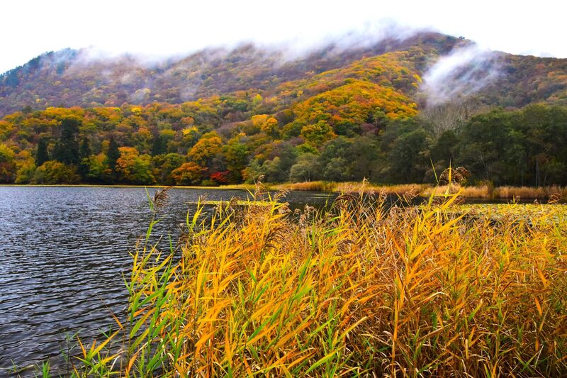 紅葉始まる沼沢沼