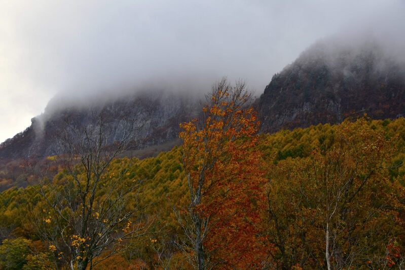 黒伏山に初雪が