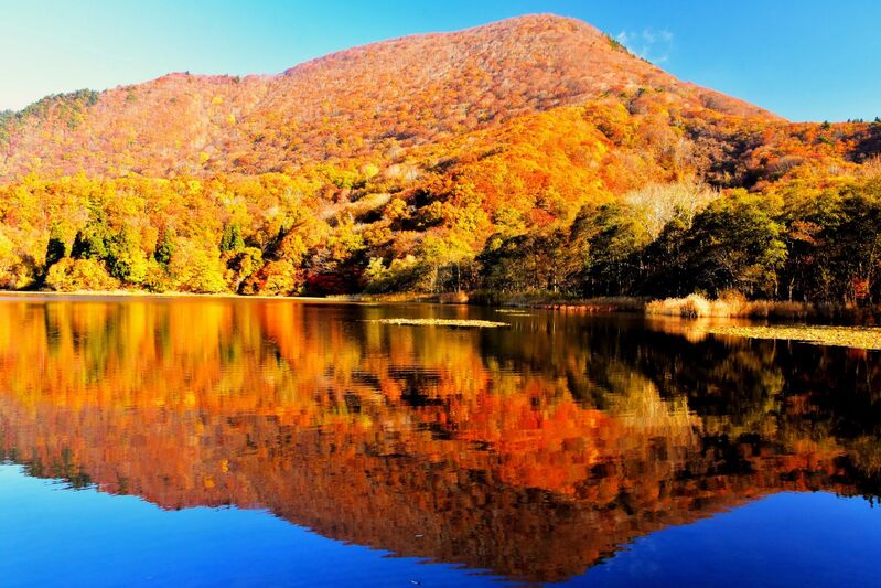 紅葉の沼沢沼　2024