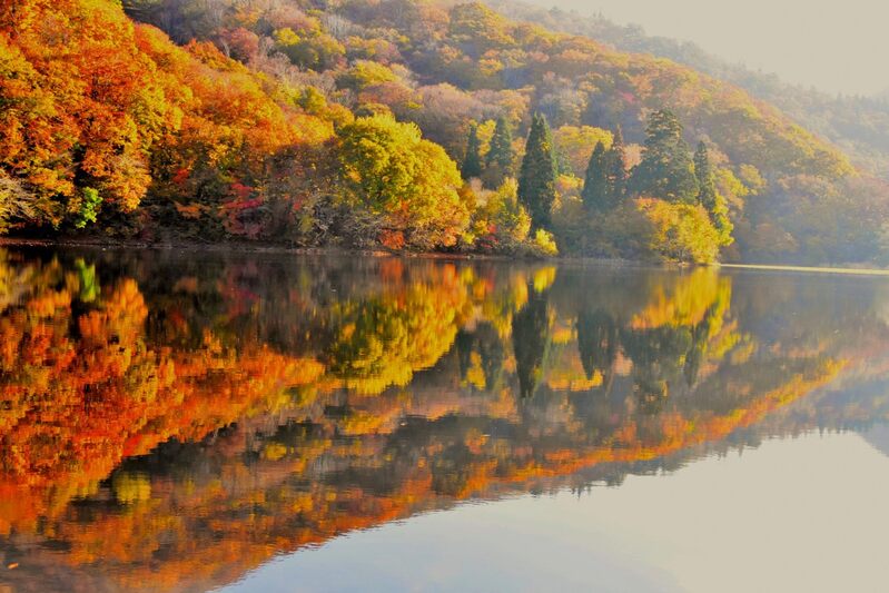 紅葉の沼沢沼　2024