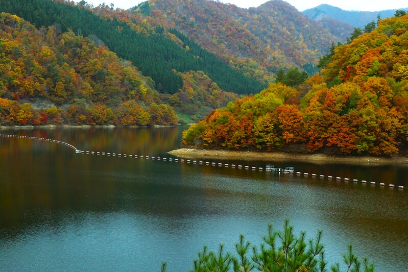 親水公園（しろみずがわだむ）