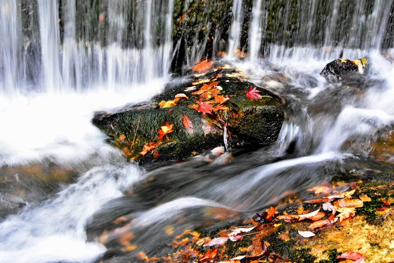 出戸の白糸の滝