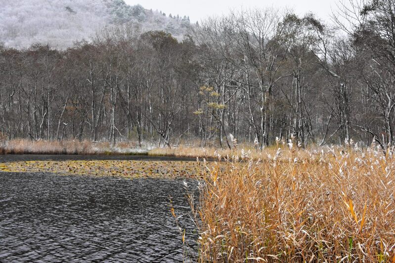 初雪の沼沢沼　2024