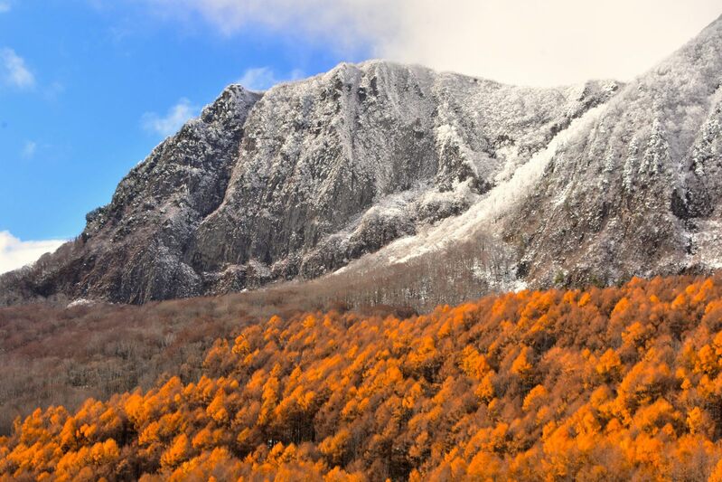 初冬の黒伏山・桶滝
