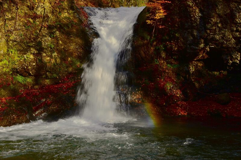 初冬の黒伏山・桶滝