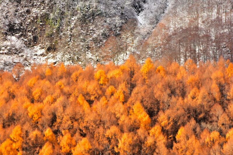 初冬の黒伏山・桶滝
