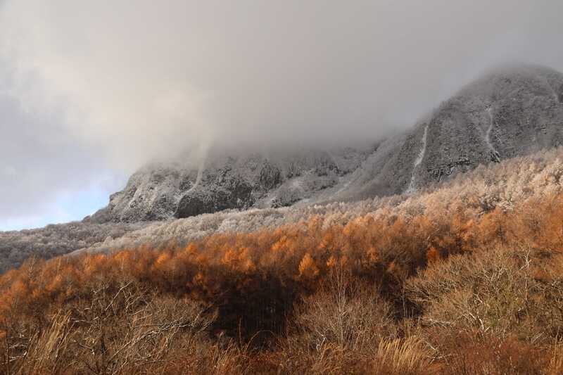 晩秋から冬の装いへ