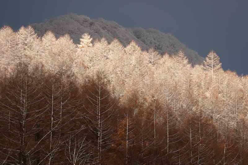 晩秋から冬の装いへ
