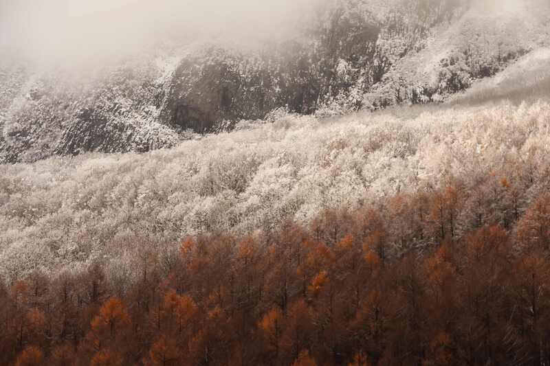 晩秋から冬の装いへ