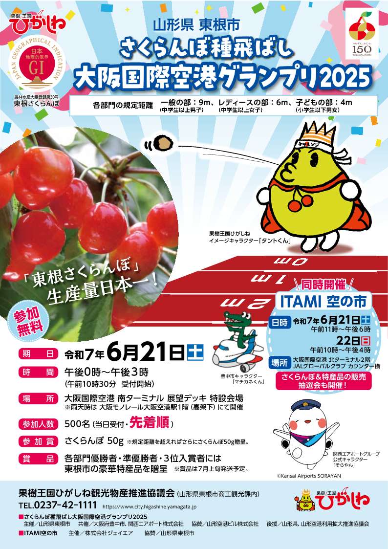 大阪国際空港種飛ばしチラシ