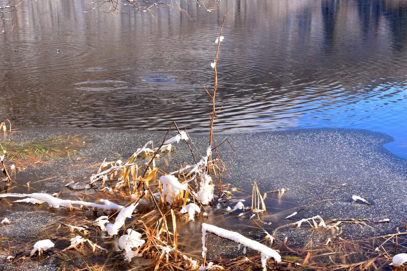 晴れ間に誘われて沼沢沼へ