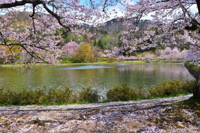 公園2