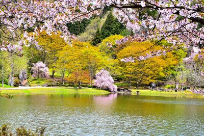 公園3