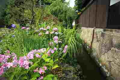 水路のある風景に癒されて
