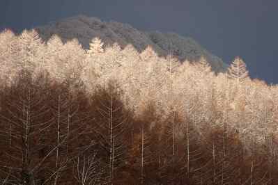 晩秋から冬の装いへ
